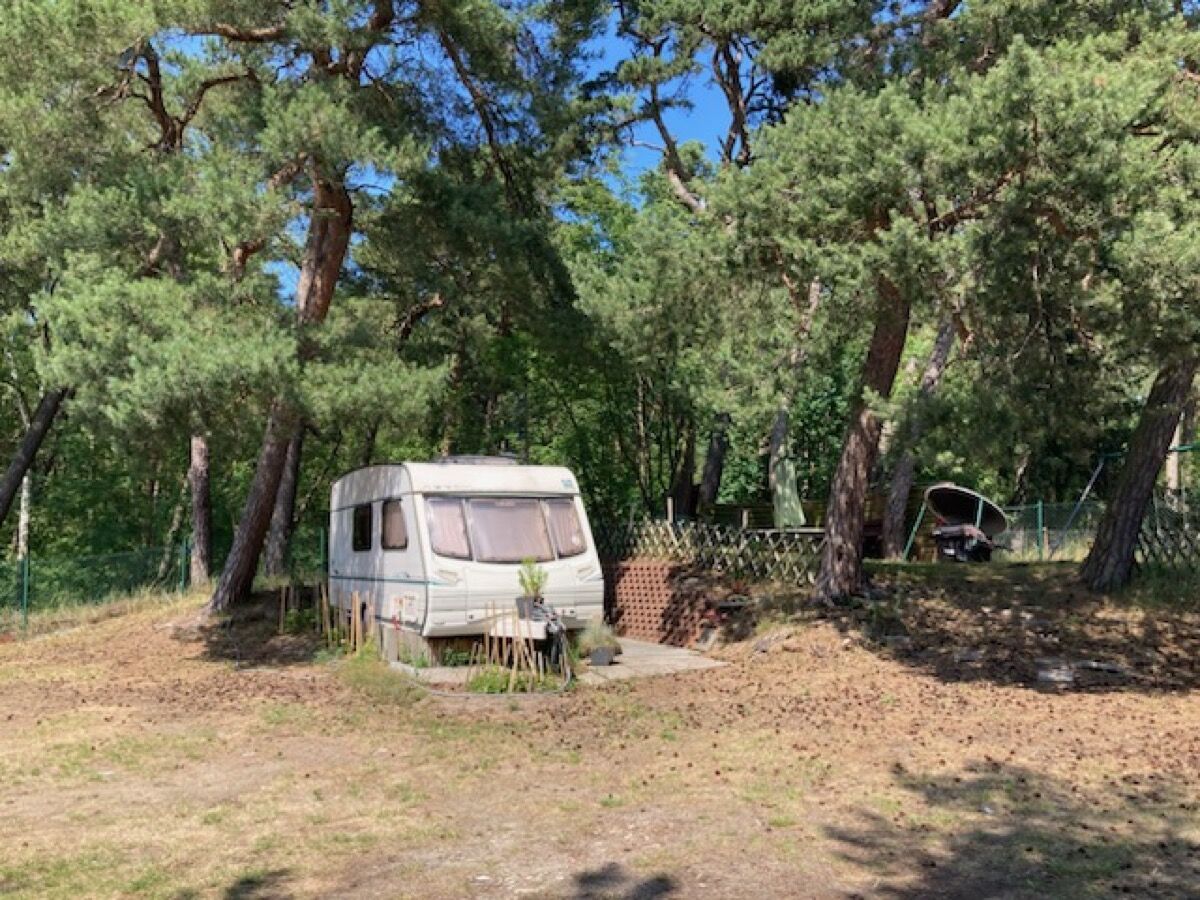 Przyczepa campingowa - zdjęcie 3